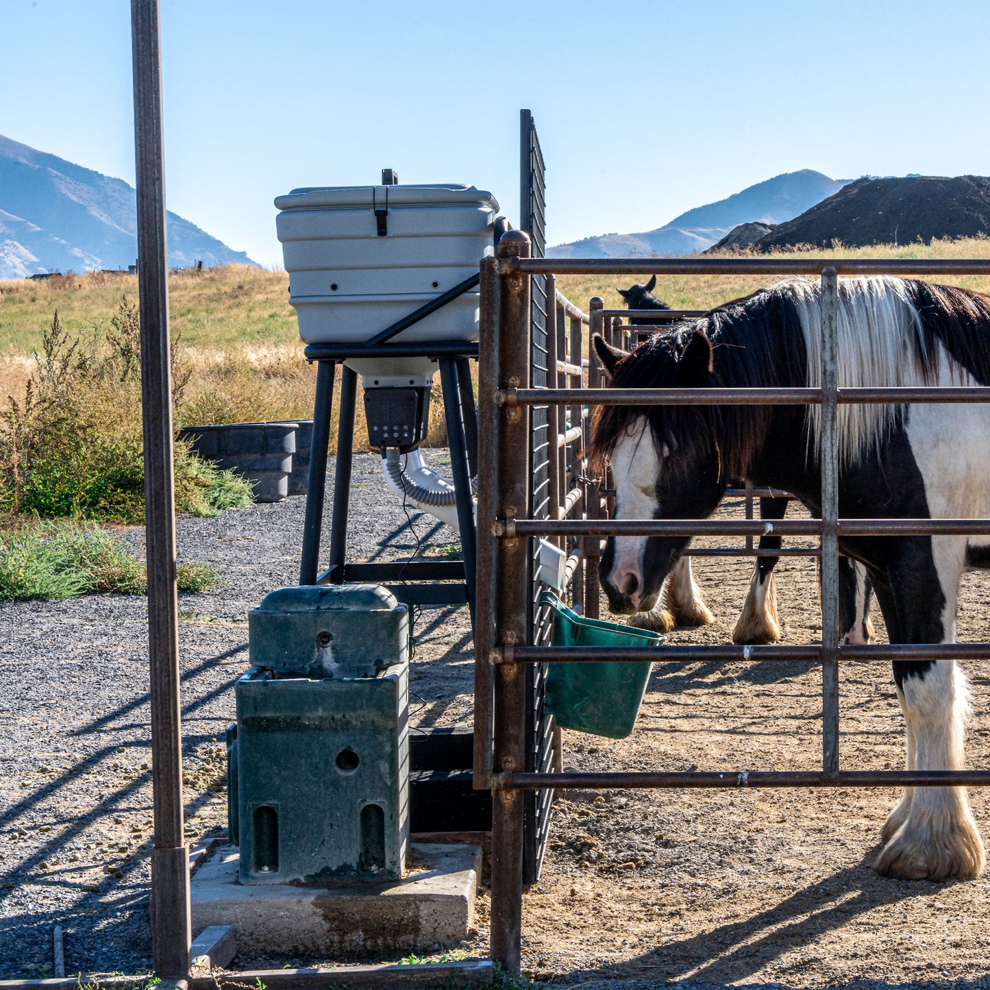 Smart Weatherproof Horse Feeder