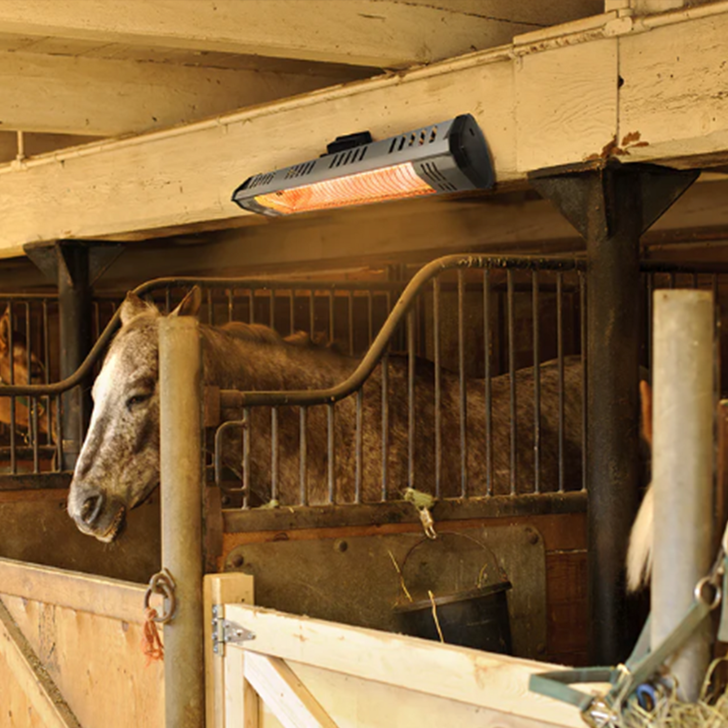 1500 Watt Infrared Stable Heater