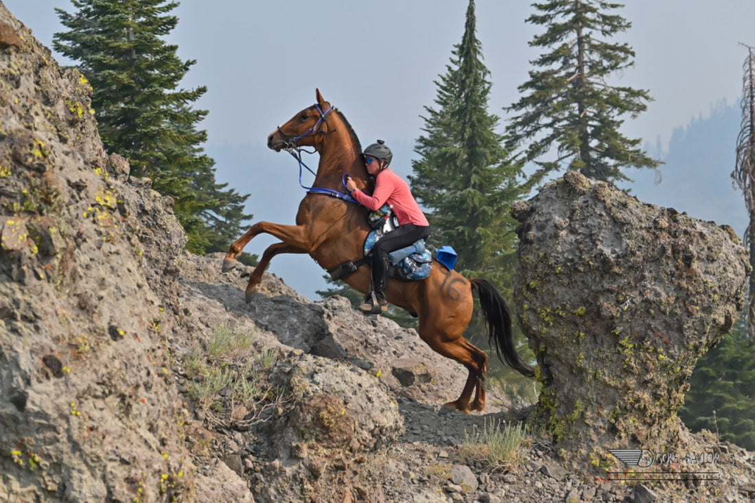 Can Pellets Replace Grazing for Horses?