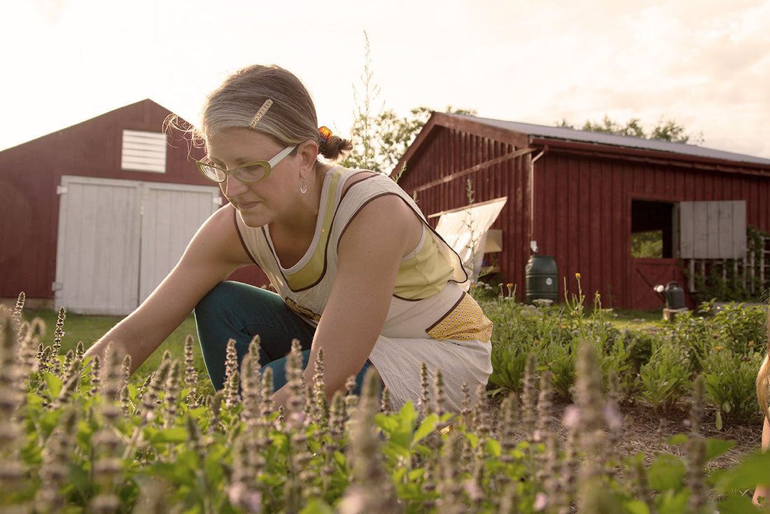 Is alfalfa good for your garden?