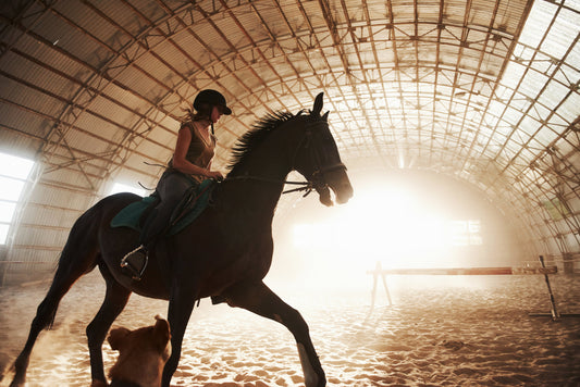 Sprouted Barley Fodder Pellets: Healthier Feed for Horses & Livestock