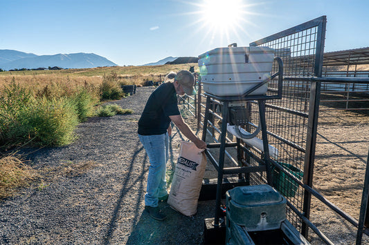 Your hard work deserves an easier feed routine | The Medalist Portion Pro Smart Feeder