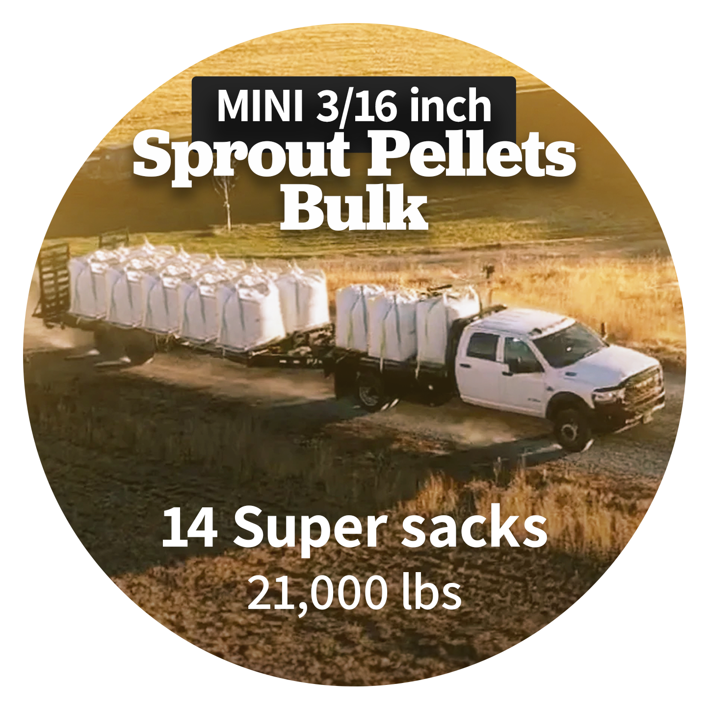 MINI Sprout Pellets