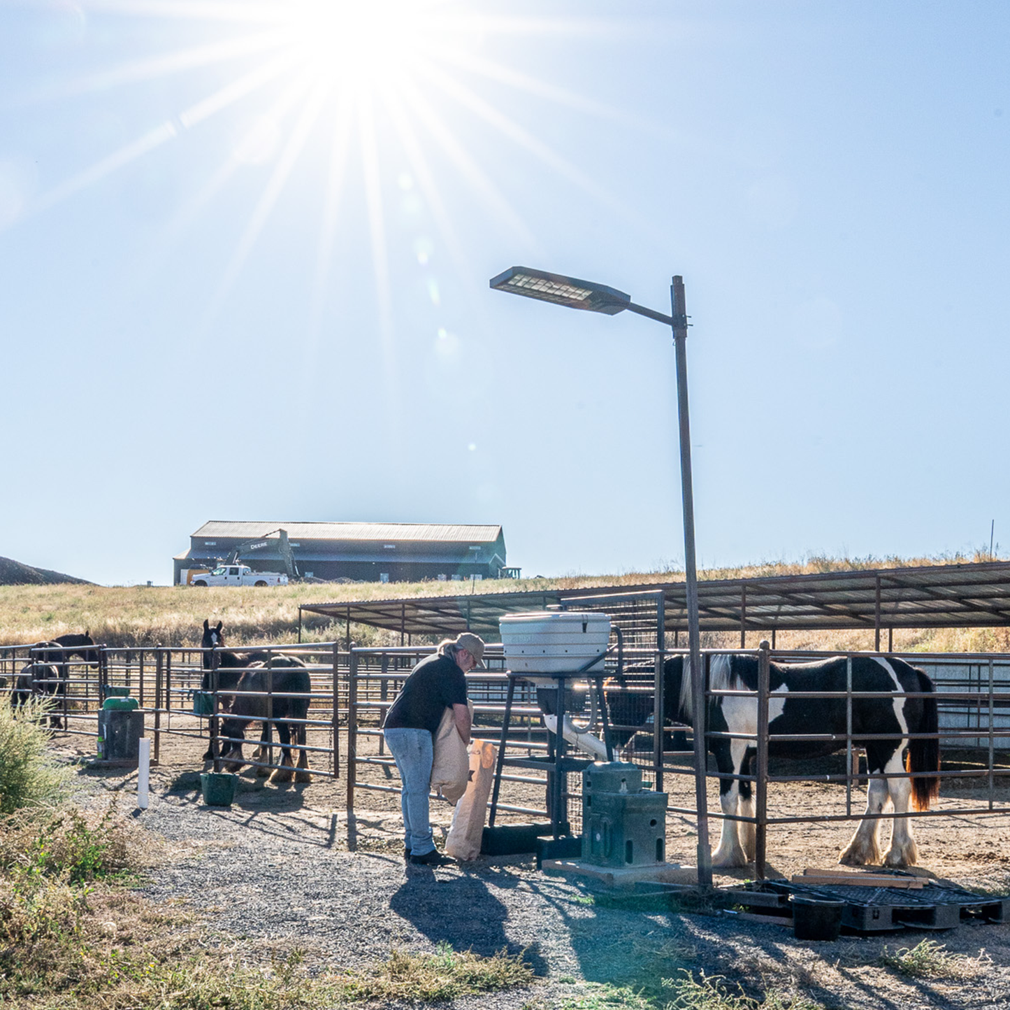 Smart Weatherproof Horse Feeder