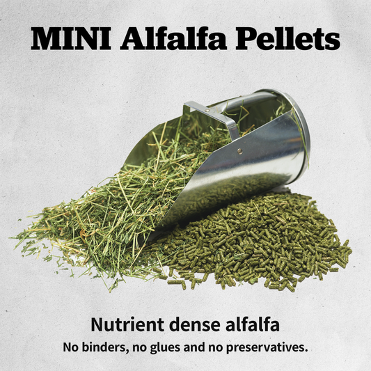 Medalist MINI Alfalfa Pellets