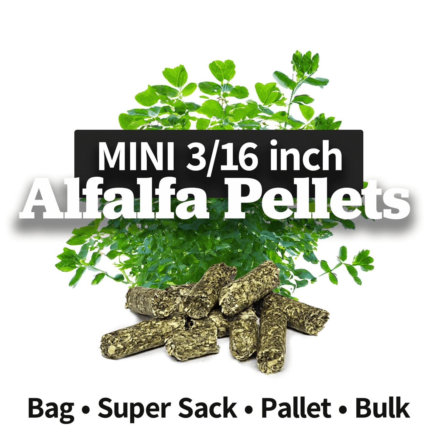 Mini 3/16 inch alfalfa pellets with fresh alfalfa plant, available in bag, super sack, pallet, and bulk options.