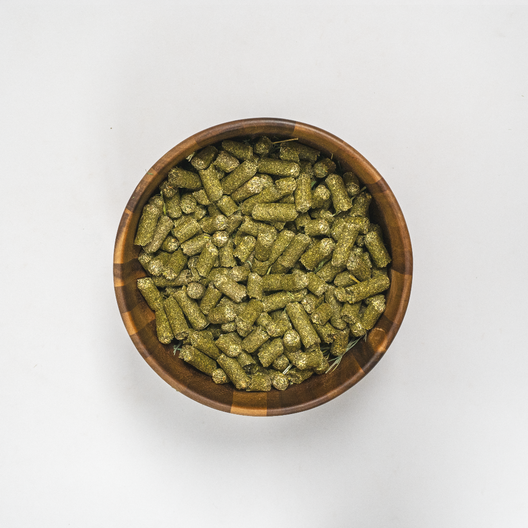 bowl with sprouts