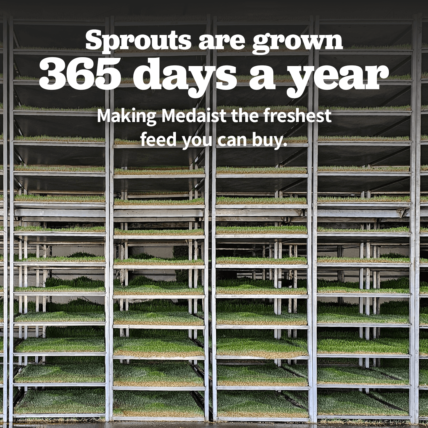 MINI Sprout Pellets