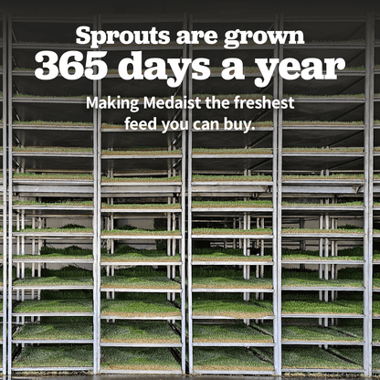 MINI Sprout Pellets