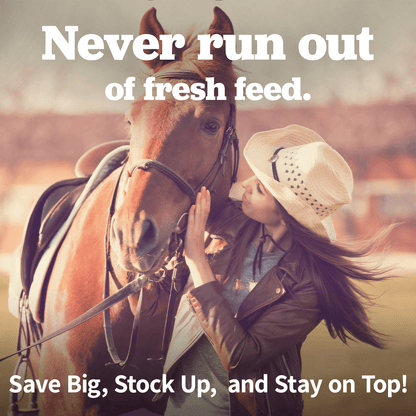 Woman in a hat affectionately interacting with a horse, promoting never running out of feed through subscriptions.