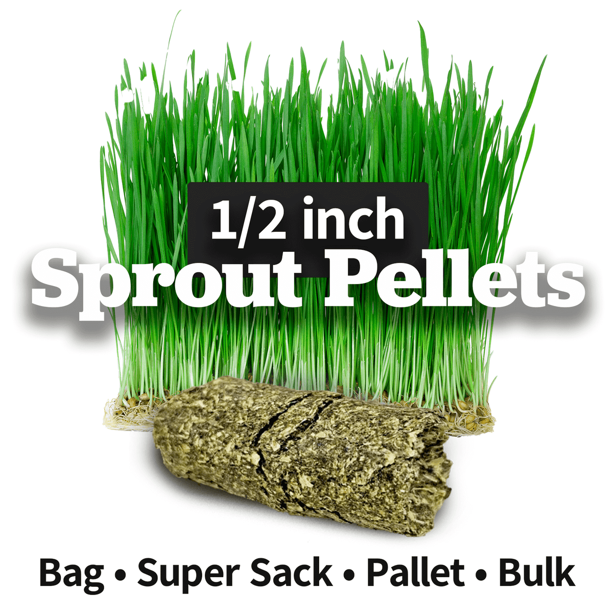 Sprout Pellets HighEnergy Horse Feed Medalist Feed