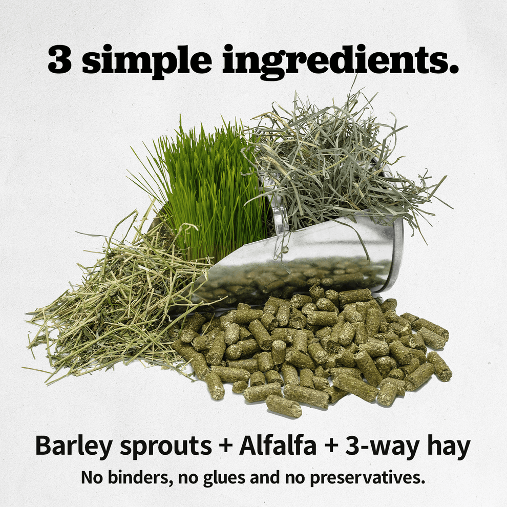 Sprout Pellets HighEnergy Horse Feed Medalist Feed