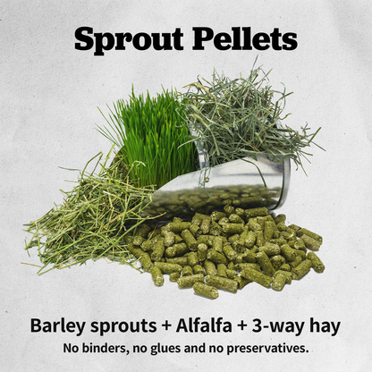 Sprout Pellets